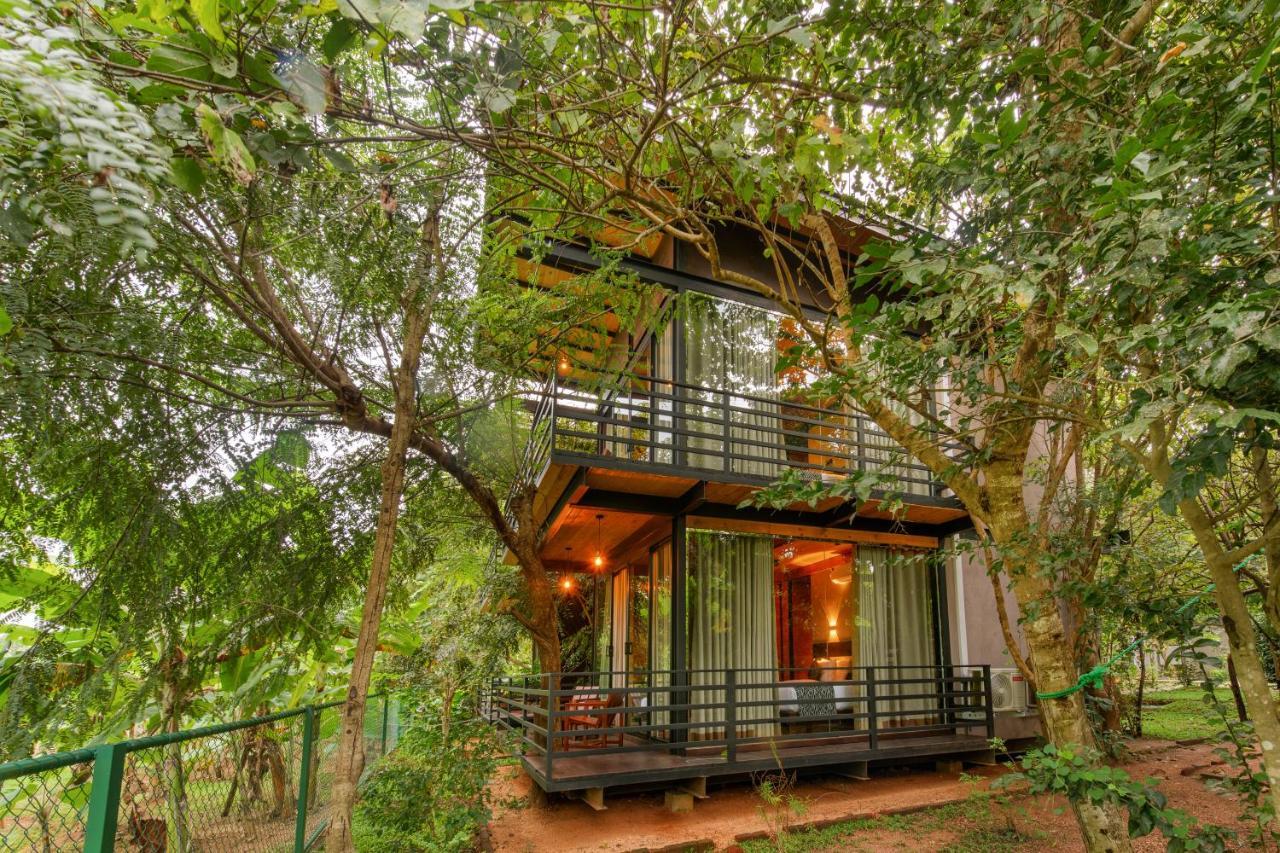 Atha Resort シギリヤ エクステリア 写真 A tree house at the resort