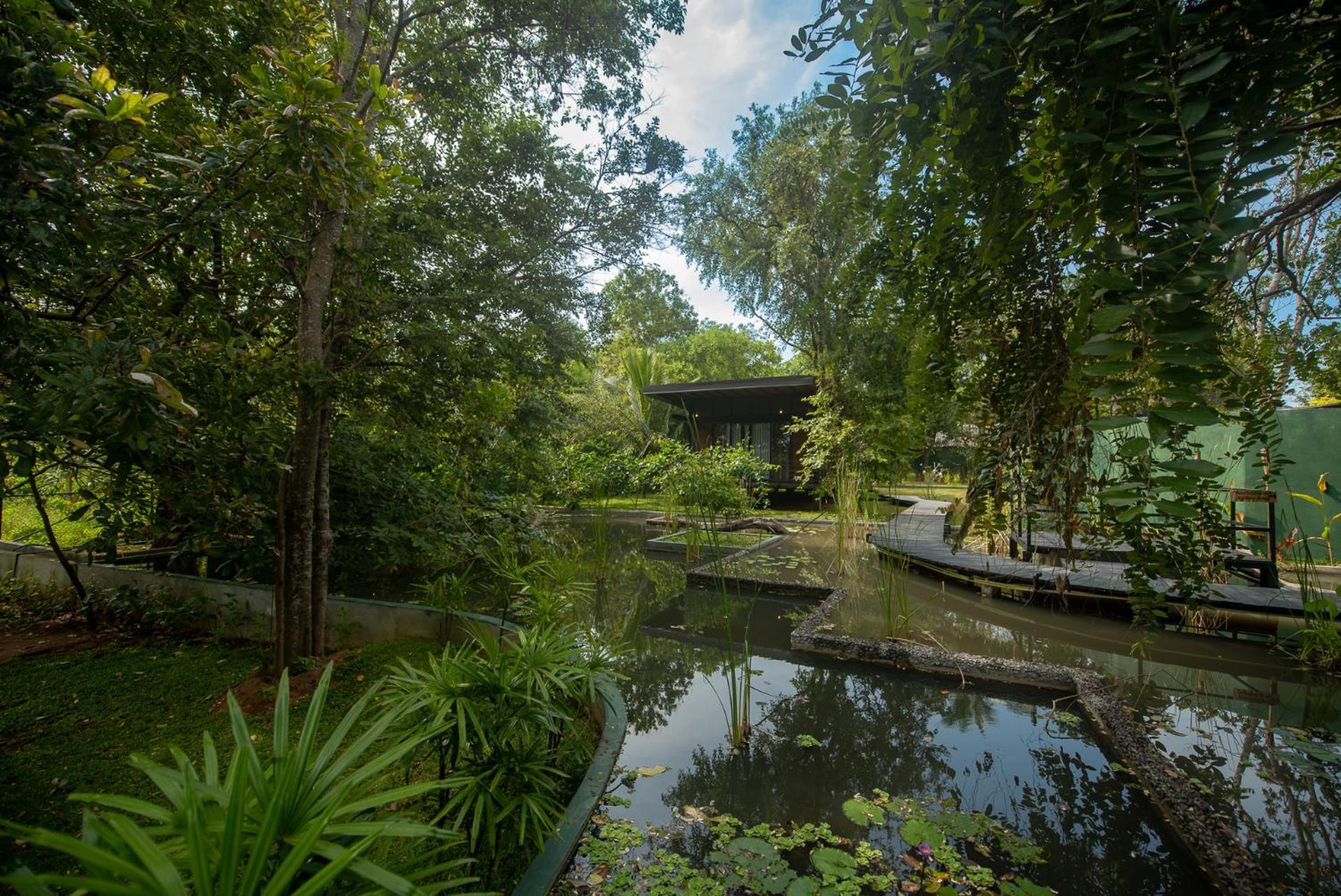 Atha Resort シギリヤ エクステリア 写真